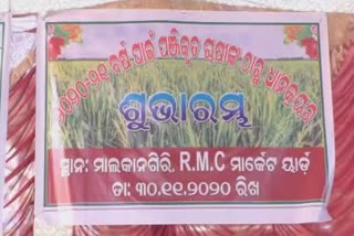 paddy mandi started in malkangiri