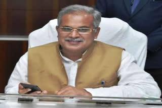 government-of-chhattisgarh-issued-instructions-to-chief-secretary-regarding-unemployed-youth-in-raipur
