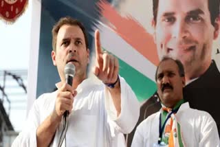 Congress party must work to hold elections so that the people of Tamil Nadu can be liberated - Rahul Gandhi