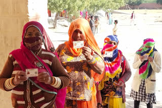 rajasthan election live updates, barmer election live update