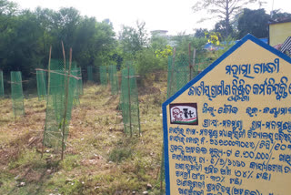 Controversy happened against forest department for planting trees in school playgrounds