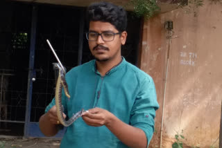 The Sind krait snake found in Bellary ಬಳ್ಳಾರಿಯಲ್ಲಿ ವಿಷಕಾರಕ ಸಿಂಡ್ ಕ್ರೈಟ್ ಸ್ನೇಕ್​ ಪತ್ತೆ