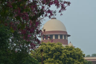 Supreme court