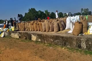 paddy purchase in sarguja
