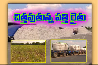 cotton cultivation farmers problems in andhrapradhesh
