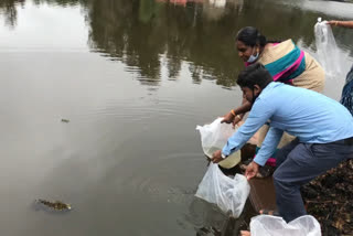 மீன்களை அதிகரிக்க மீன்வளத்துறை நடவடிக்கை