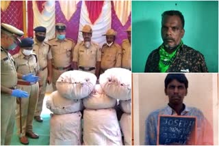 Rowdy Thangam brothers involved in illegal marijuana trade