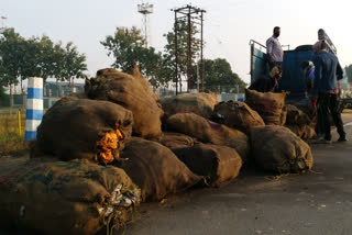 कोयला तस्करी