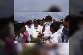 MP Avinash inspects storm-damaged crops