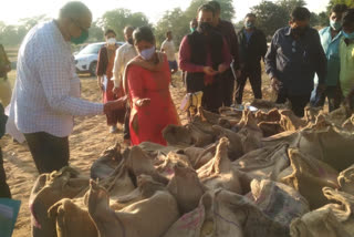 484 quintal paddy purchased on the first day of dhan kharidi in korba