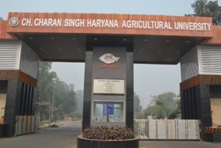 hisar online training camp haryana agricultural University