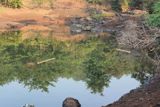 रत्नागिरी चिपळूण लेटेस्ट न्यूज