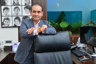 Nirav Modi