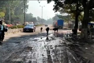 Road leading to Bhati mines in Delhi is in very bad condition