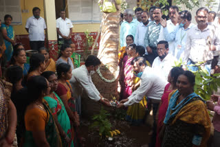 ಕಲ್ಪವೃಕ್ಷಕ್ಕೆ ಸೀಮಂತ ಕಾರ್ಯ ಮಾಡಿದ ಅಧಿಕಾರಿಗಳು