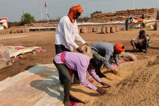 trouble-of-farmers-increased-due-to-lack-of-bardana-in-paddy-procurement-centers-in-balod