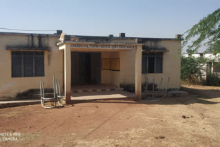 Veterinary Hospital Gunnaur