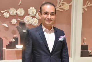 Judge extends Nirav Modi's stay in prison as extradition trial nears conclusion