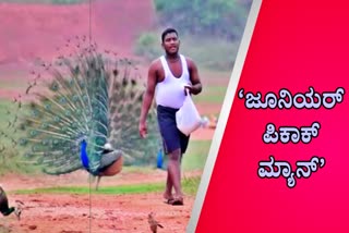 ನೂರಾರು ನವಿಲುಗಳಿಗೆ ಅನ್ನದಾತ ಒಡಿಶಾದ ಕನ್ಹು
