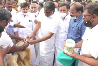 Minister KC Veeramani inaugurated Veterinary Branch Station at Tirupatur
