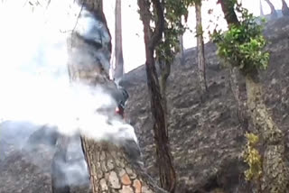 forest fire case in Pithoragarh