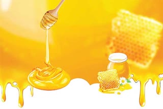 Honey sold by major brands in India adulterated with sugar syrup: CSE