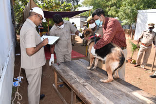 health checkup for police dongs at Vizianagaram