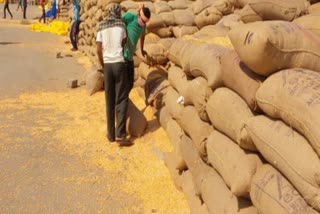 The first maize-laden wagon was sent to Bangladesh from the Sambalpur railway station