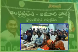 cm Jagan spoke to dairy women farmer Ashwani at Kadapa