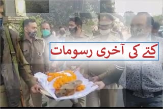 police performed the dog's last rites with respect in meerut