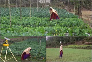 bilaspur farmer Babita Kumari