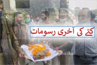 police performed the dog's last rites with respect in meerut