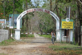 Manas Tiger reserve bags excellence in conservation award