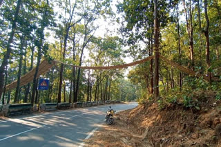 uttarakhand gets its first eco bridge for small animals