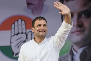 rahul to become congress president again