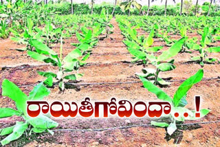 Cancellation of drip irrigation subsidy applications