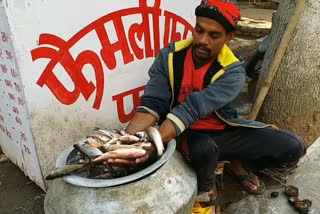 fisheries scheme in deoghar