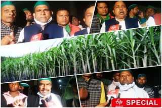 Sugarcane payment condition in western Uttar Pradesh