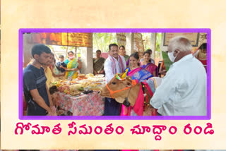 seemantha-pujas-for-cow-in-west-godavari-district-gilugumilli