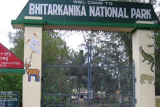 Odisha's Bhitarkanika still ideal habitat for mammals despite drop in population: official