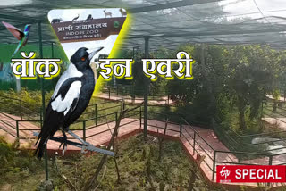 Kamla Nehru zoological park Indore