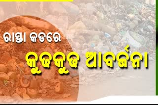 ରାଜସୁନାଖଳା ରାସ୍ତା କଡ଼ ପାଲଟିଛି ଡମ୍ପିଂୟାର୍ଡ