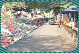 Aya Nagar garbage dump came on the side of the city main road in delhi