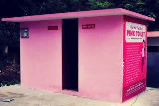 Pink toilets will be made for women in Raipur