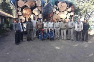 Forest Department seized illegal wood worth lakhs of rupees in Raisen