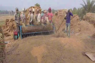 paddy purchasing centers open in sahibganj