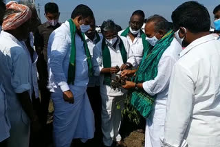 cm jagan agriculture adviser visited crop
