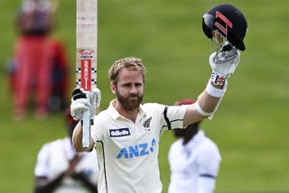 hamilton test: Kane williason scored double century