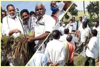 mandali tour in mopidevi