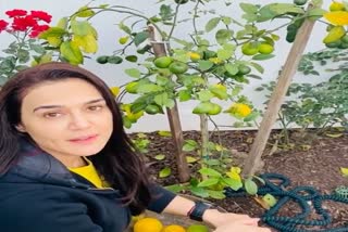 preity-has-farming-in-her-los-angeles-home-video-goes-viral